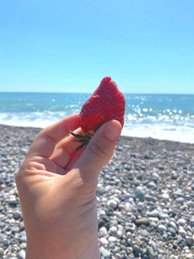 Бунгало Мини Отель, Пицунда , Лдзаа Buitenkant foto