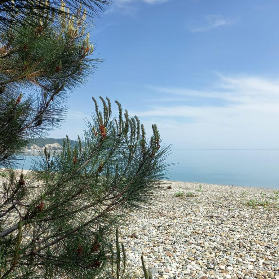 Бунгало Мини Отель, Пицунда , Лдзаа Buitenkant foto